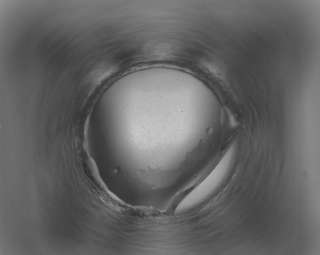 X0000061141210200511241754