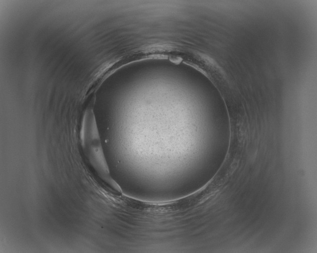 X0000061141217200511241755