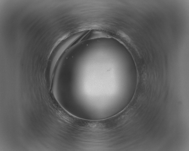 X0000061141218200511241755