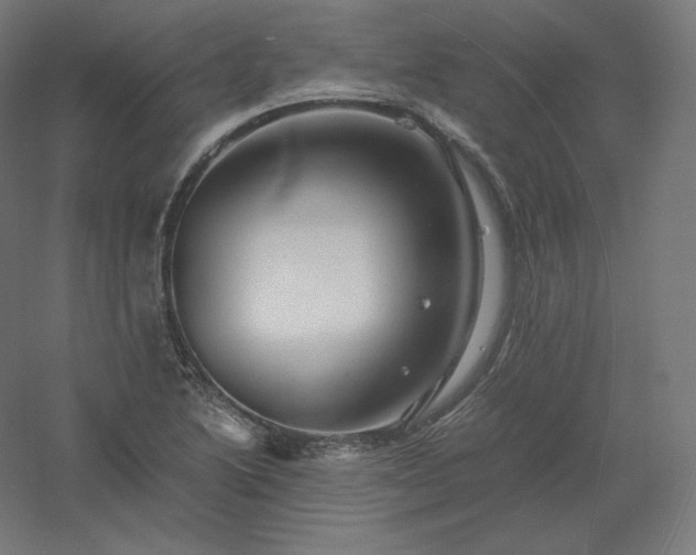 X0000061141222200511241755