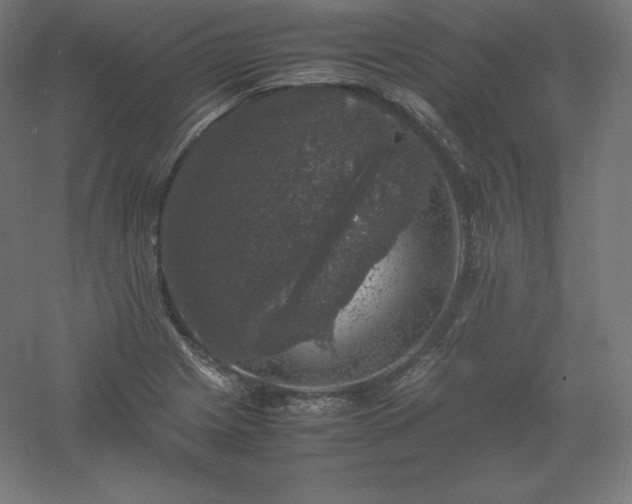 X0000061141225200511241755