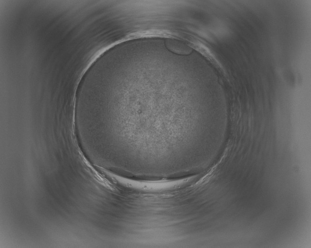 X0000061141228200511241755