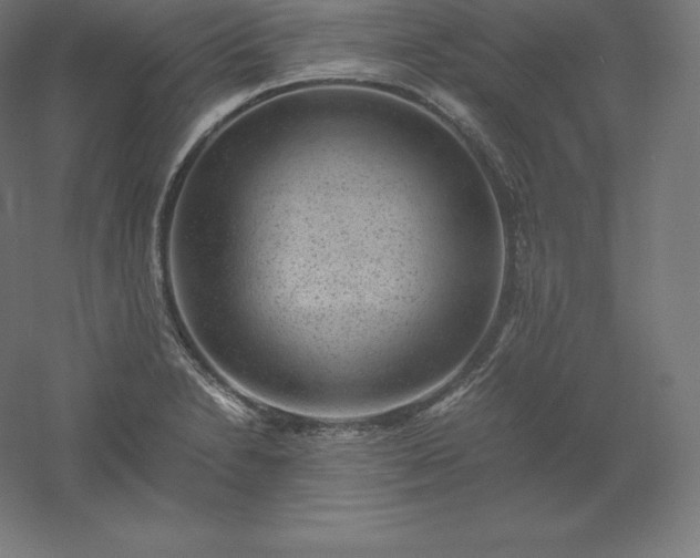 X0000061141230200511241755