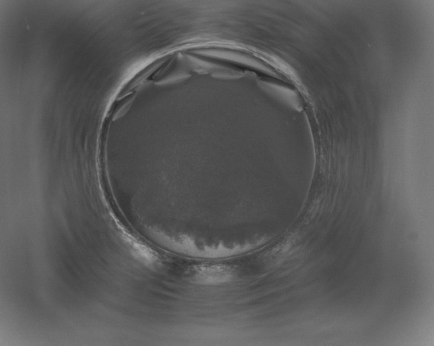 X0000061141231200511241755