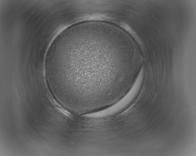 X0000061141232200511241755