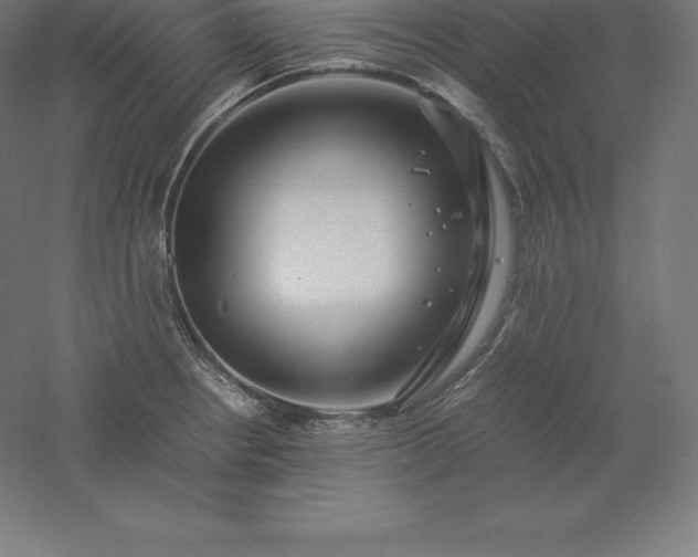 X0000061141234200511241755