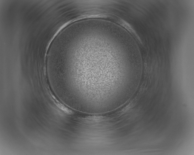X0000061141236200511241755