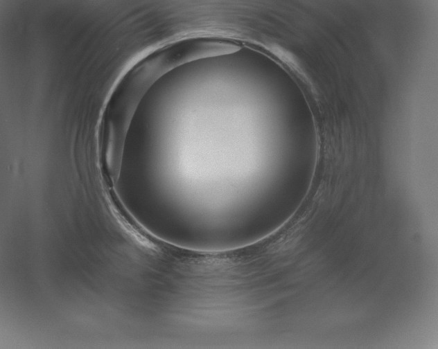 X0000061141238200511241755