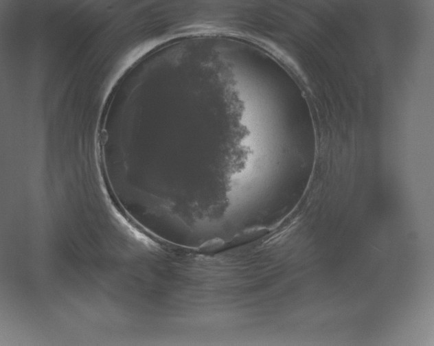 X0000061141239200511241755