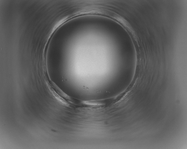 X0000061141242200511241755
