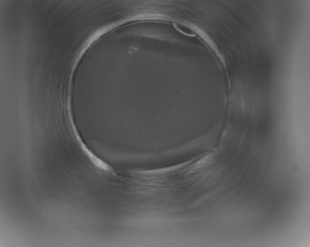 X0000061141245200511241755