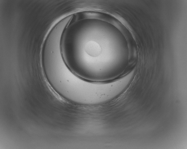 X0000061141246200511241755