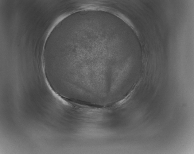 X0000061141247200511241755