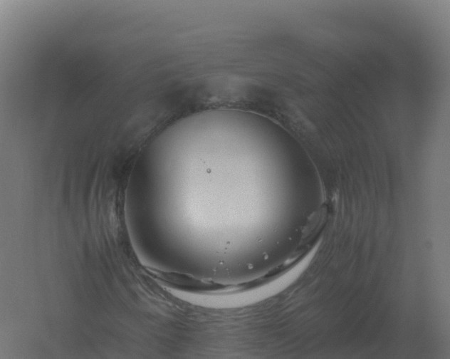 X0000061141250200511241754
