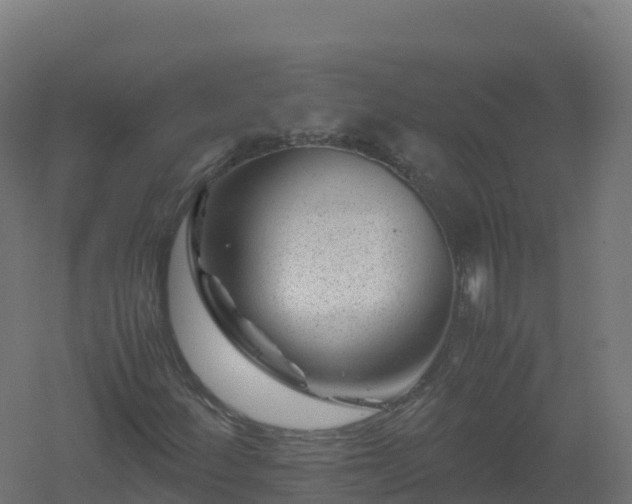 X0000061141252200511241754