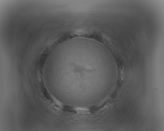 X0000061141253200511241754