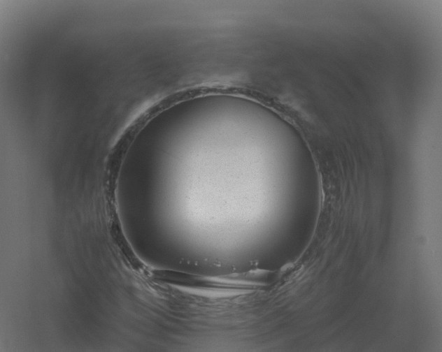 X0000061141256200511241754