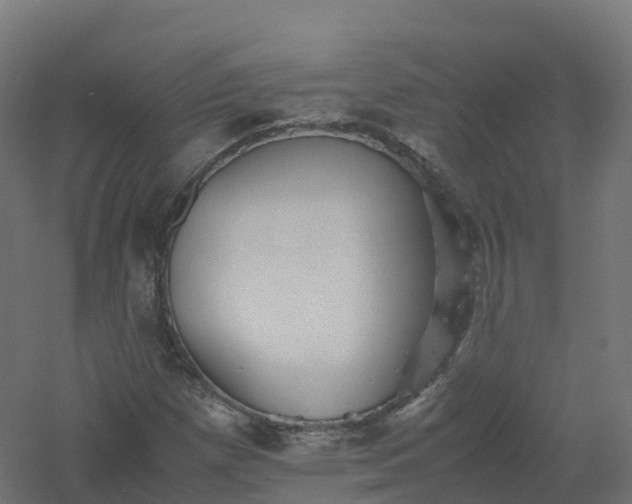 X0000061141257200511241754