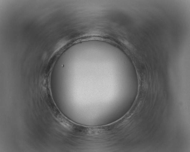 X0000061141258200511241754