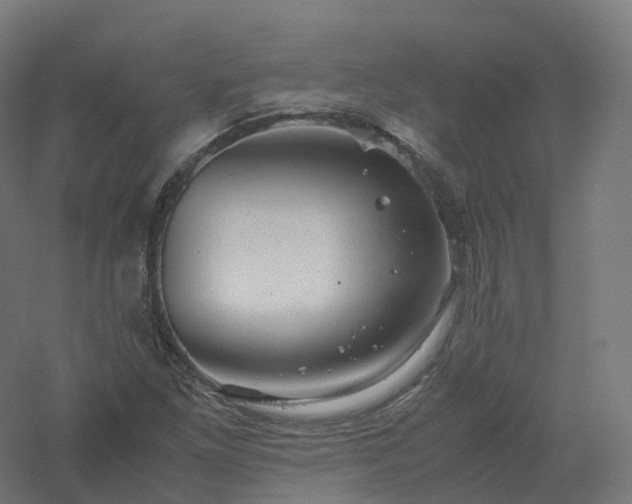X0000061141261200511241754