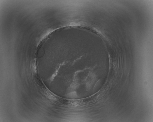 X0000061141262200511241754