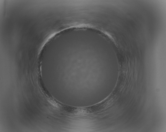 X0000061141263200511241754