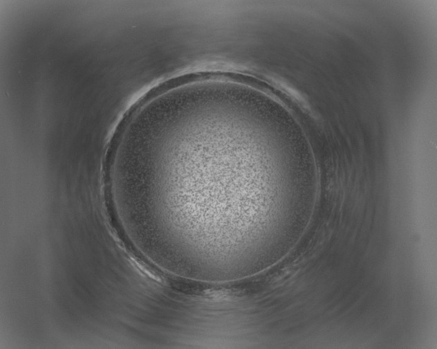 X0000061141264200511241754