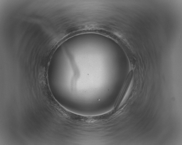 X0000061141265200511241754