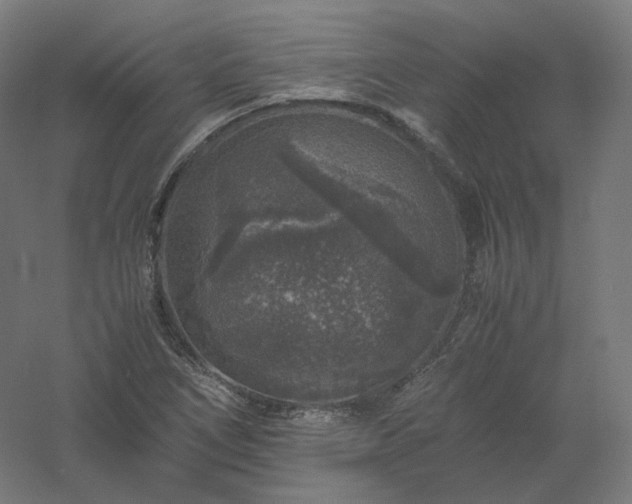 X0000061141266200511241754