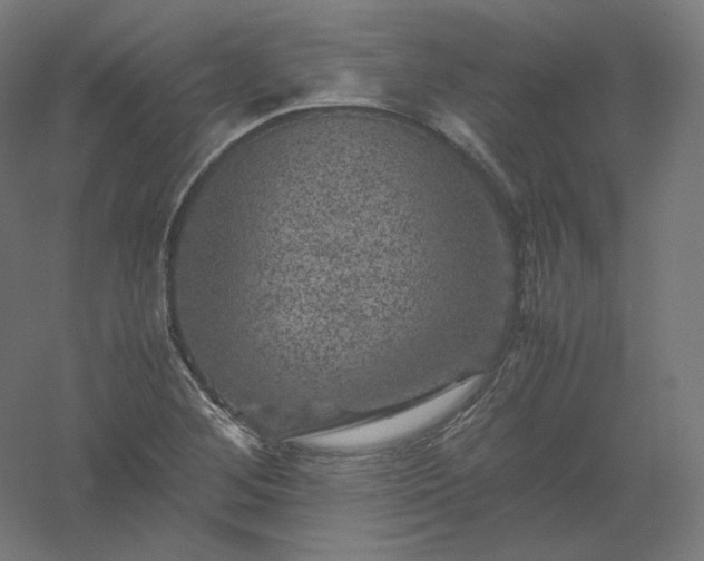 X0000061141268200511241754