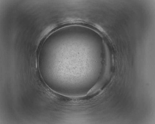 X0000061141269200511241754