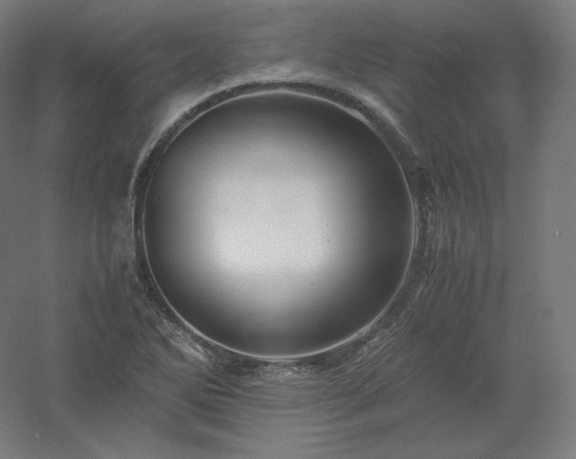 X0000061141270200511241754