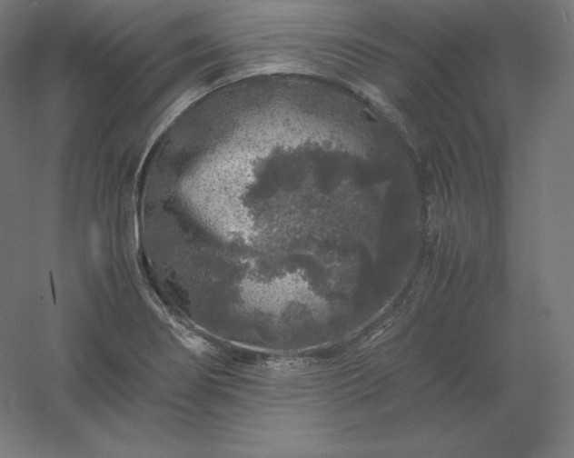 X0000061141274200511241754