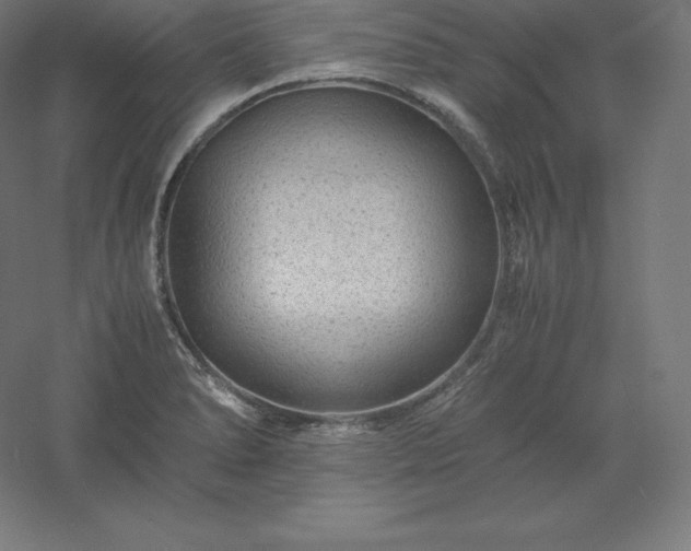 X0000061141278200511241754