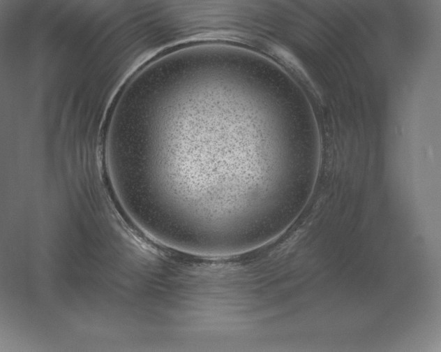 X0000061141284200511241754