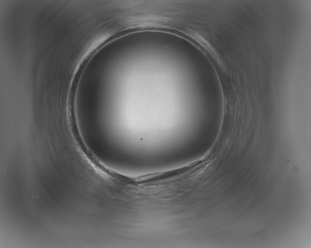 X0000061141285200511241754