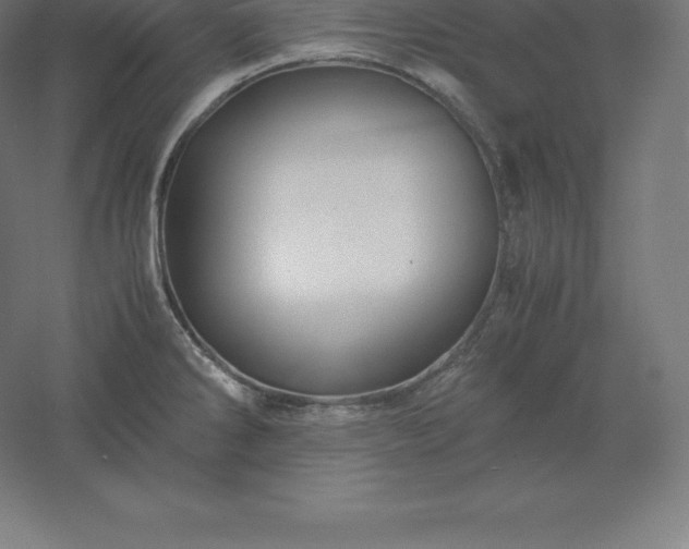 X0000061141286200511241754