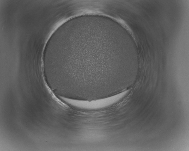 X0000061141287200511241754