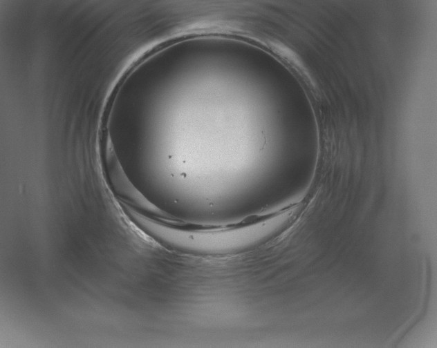 X0000061141288200511241754