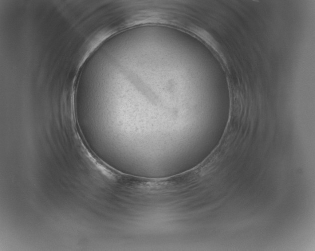 X0000061141290200511241754