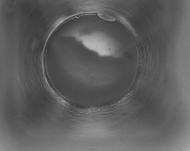 X0000061141291200511241754