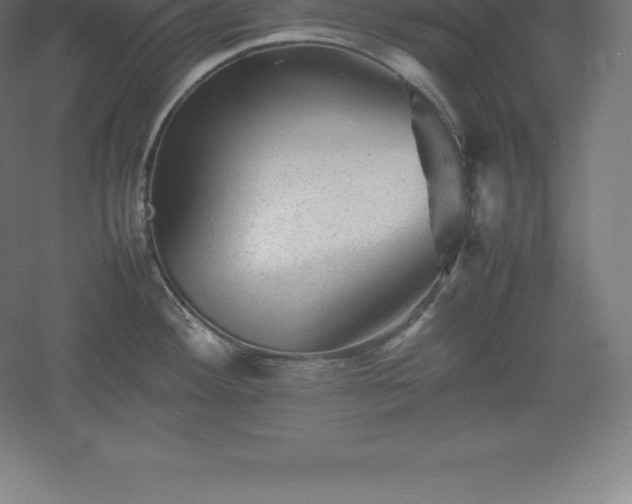 X0000061141292200511241754