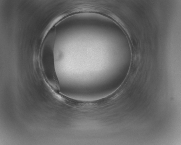 X0000061141293200511241754