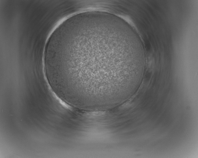 X0000061141294200511241753
