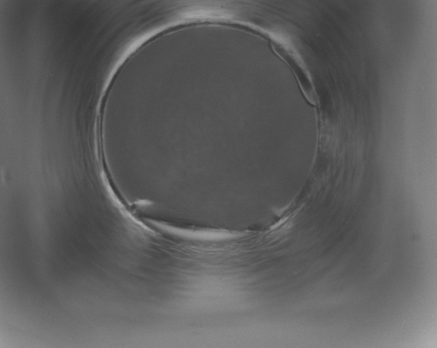 X0000061141295200511241753