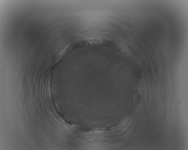 X0000061141298200511241753
