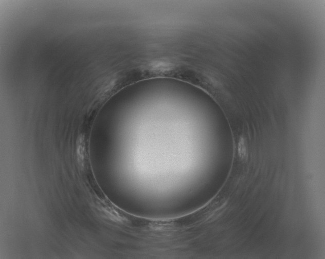 X0000061141299200511241753