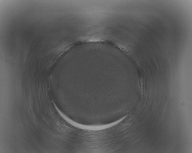 X0000061141300200511241753