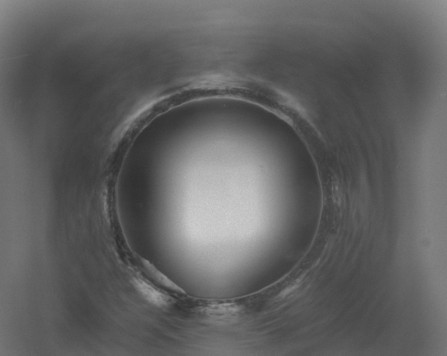 X0000061141304200511241753