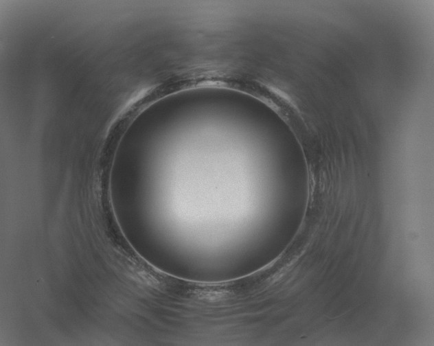 X0000061141309200511241753
